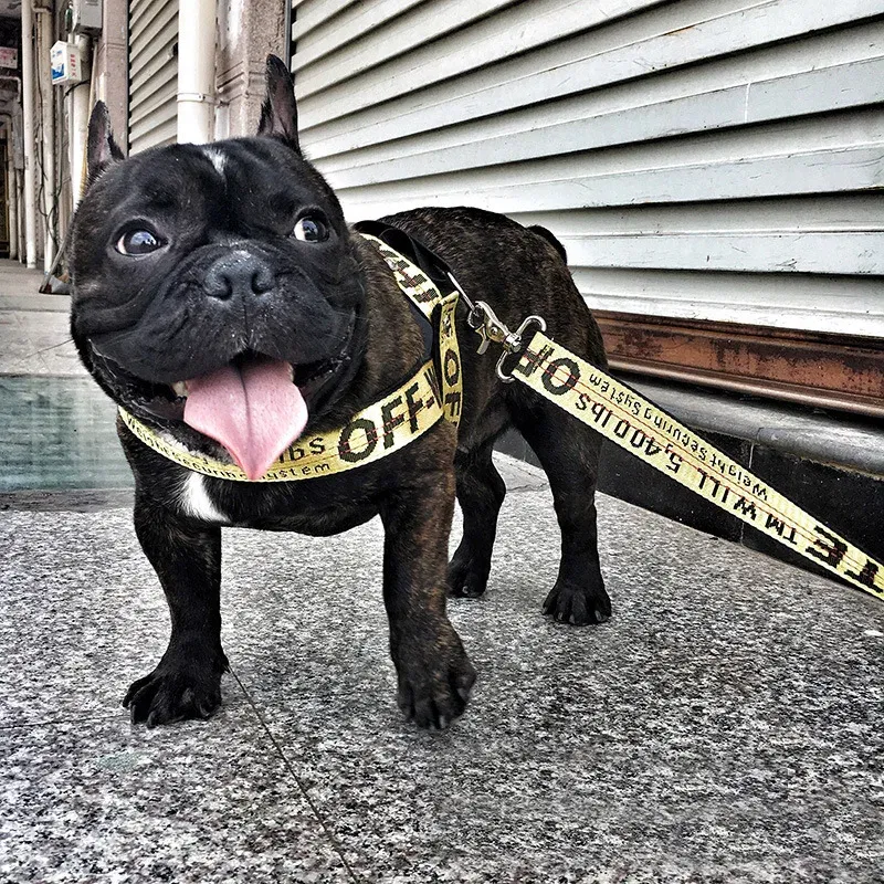 Color: camouflage, Size: S - Fashion Dog Collar Leash Set Gold Chain Nylon Pets Dog Collar Leash Long Rope Lettered Collar Perro Collar For Pitbull Puppy Dog