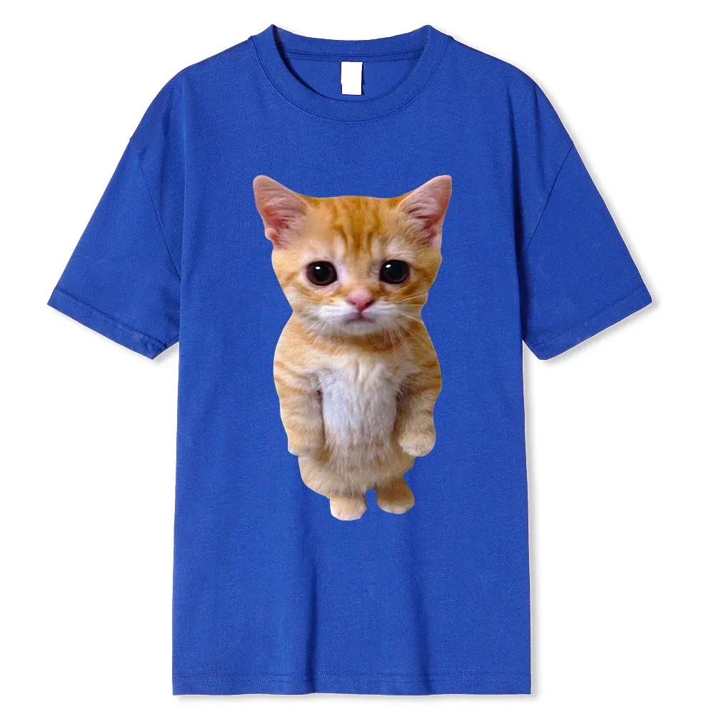 Color: GRAY, Size: XL - El Gato Meme Sad Crying Cat Munchkin Kitty Meme Trendy Graphic T-shirt Unisex Fashion Short Sleeve T-shirts Oversized Streetwear