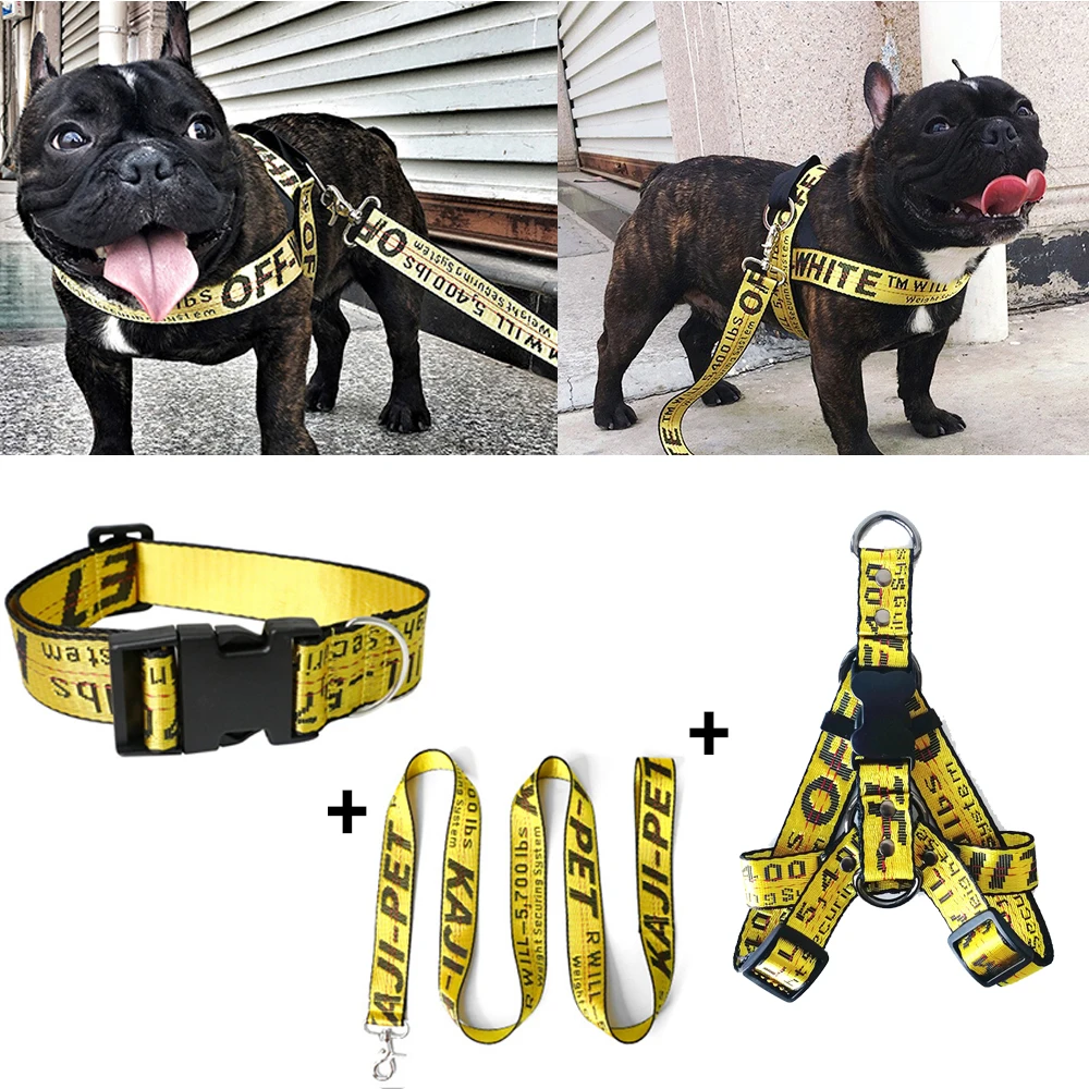 Color: plum, Size: XL - Fashion Dog Collar Leash Set Gold Chain Nylon Pets Dog Collar Leash Long Rope Lettered Collar Perro Collar For Pitbull Puppy Dog