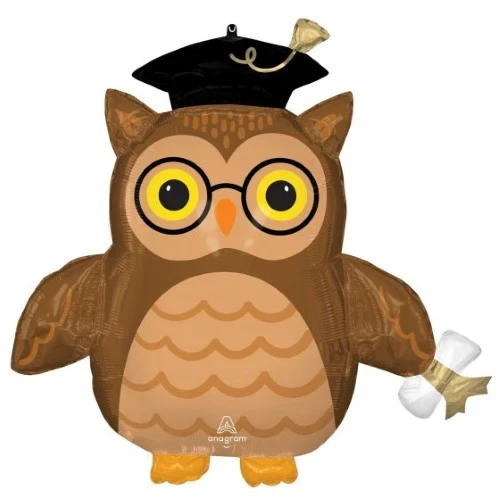 SuperShape Graduate Wise Owl