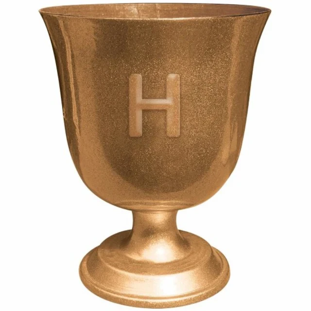 Harry Potter Goblet