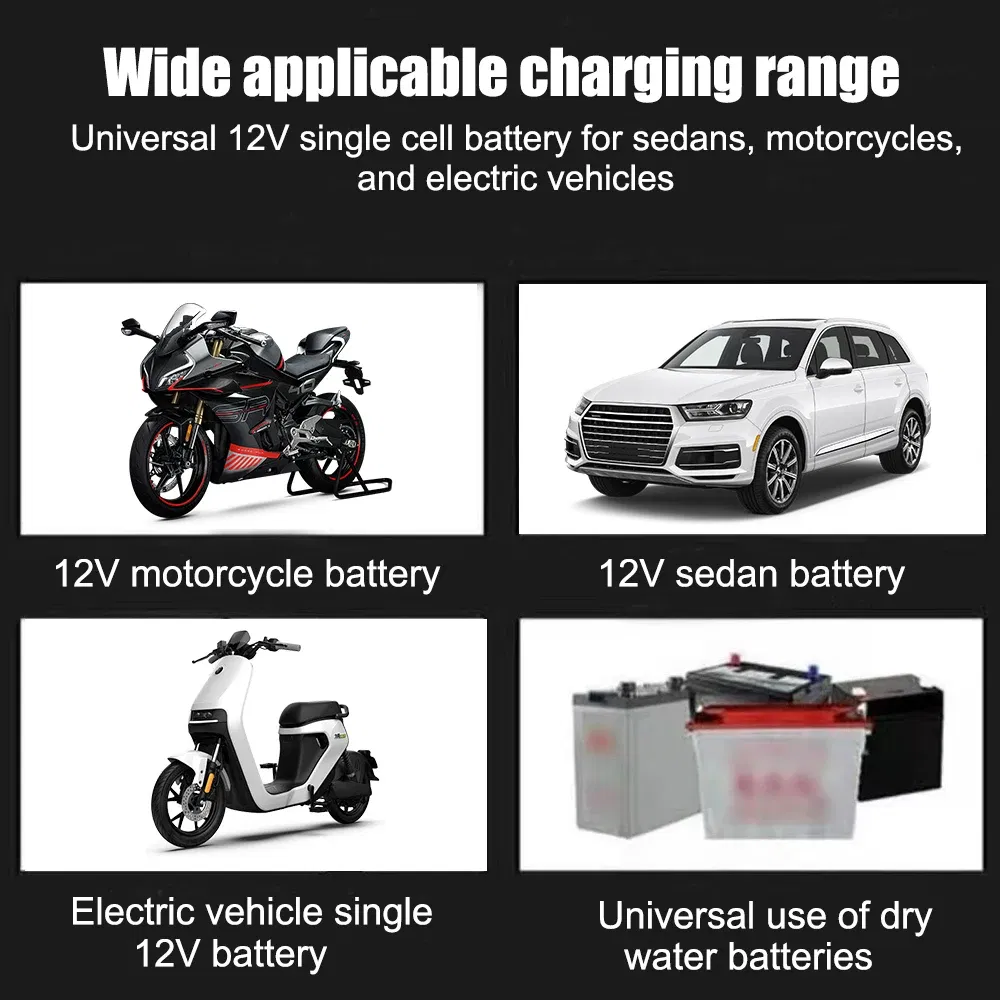 Color: Gold - 12V 2A Car Battery Charger 220V Power Puls Repair Charger Wet Dry Lead Acid Battery LED Display Moto Truck Battery Charger