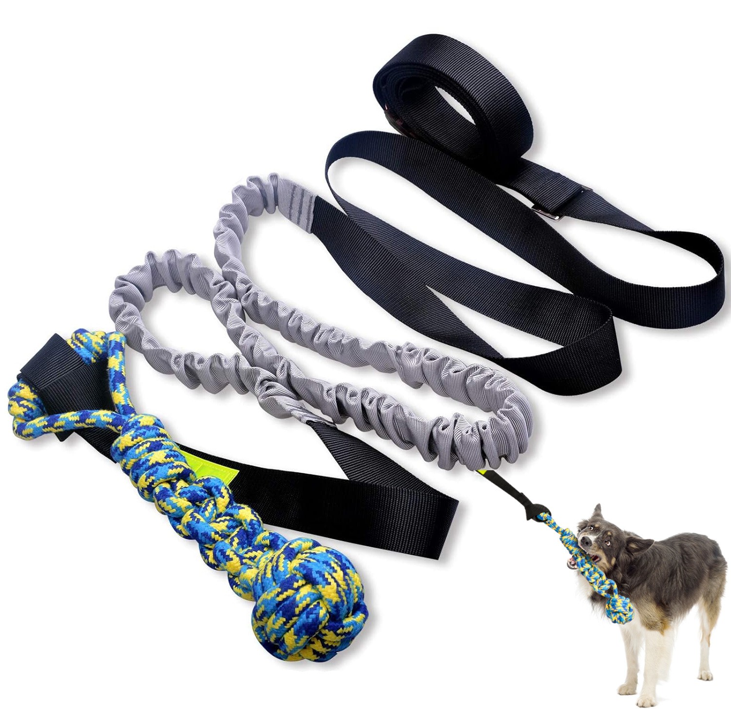 Bungee Tug Toy