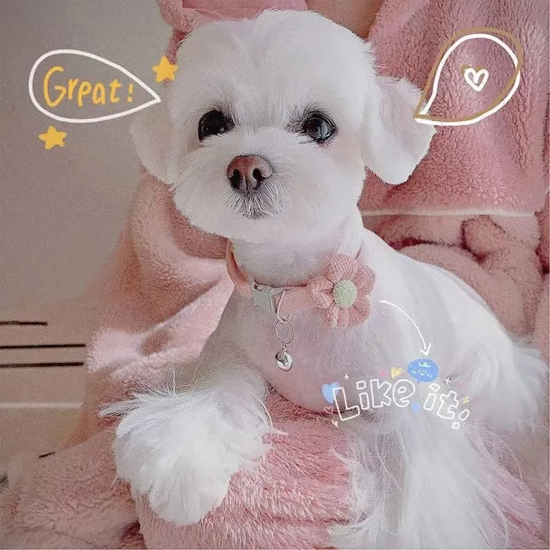 Small Dog Collar Dog Collar For Girl With Flower Puppy Collar With Bell Adjustable Little Dog Collar