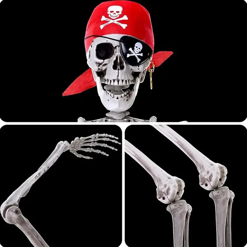 Halloween Decorations - 5 Ft Placeable Halloween Skeleton - Full Body Life-Size Skeleton Prop with Movable Joints for Halloween Outdoor Yard Haunted House Prop Decoration
