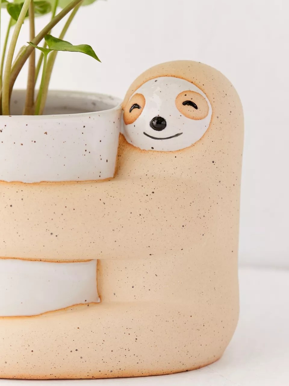 Cute, Creative And Green Plant Potted Plants