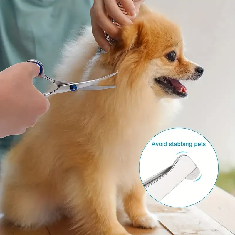 Pet Grooming Scissors Set