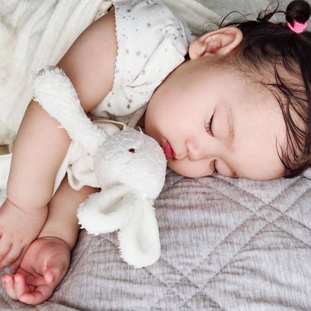 Bun Bun Bunny Bye Bye Buddy