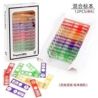 24H1200X Microscope Biology Toys Microscope LED Kit Lab Home School Educational Science Toys for Kids/Educational Toys