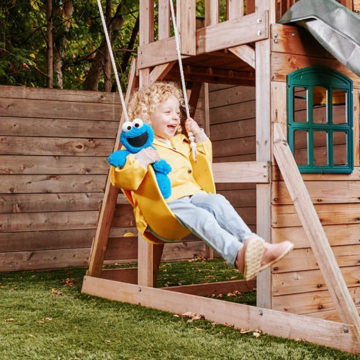 Sesame Street Cookie Monster Take-Along Buddy Soft Toy