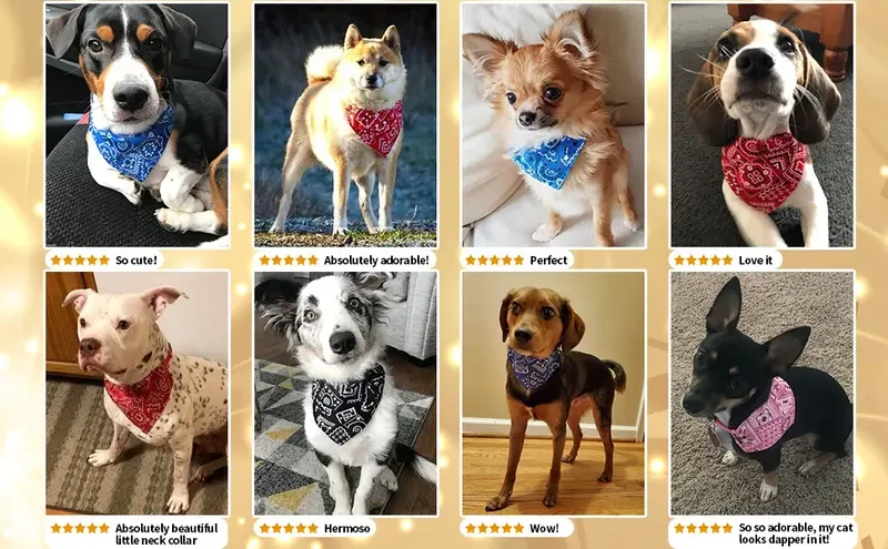 Stylish & Comfy Dog Bandanas