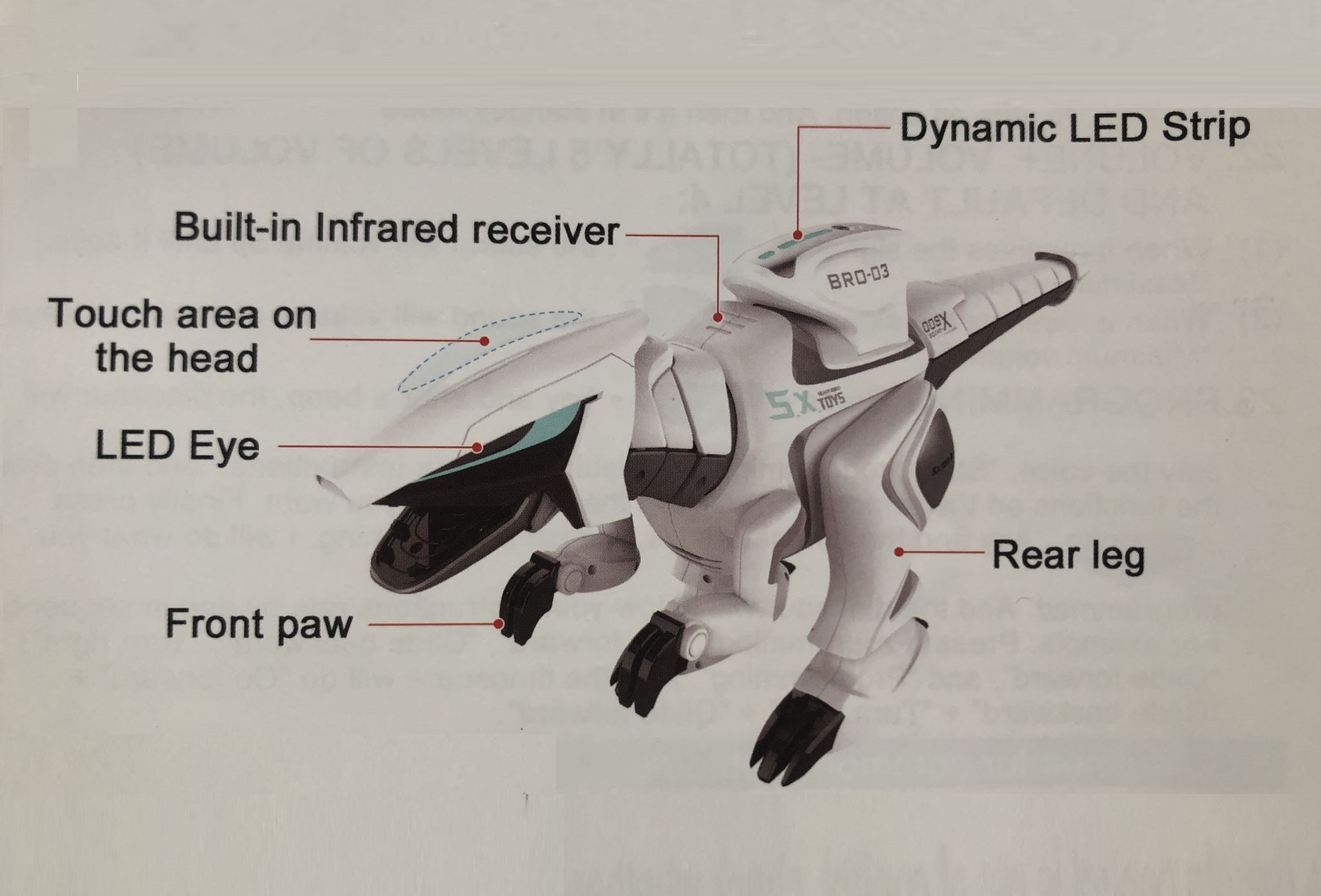 Dinosaur, RC Dinosaur, Remote control Dinosaur, Big Size