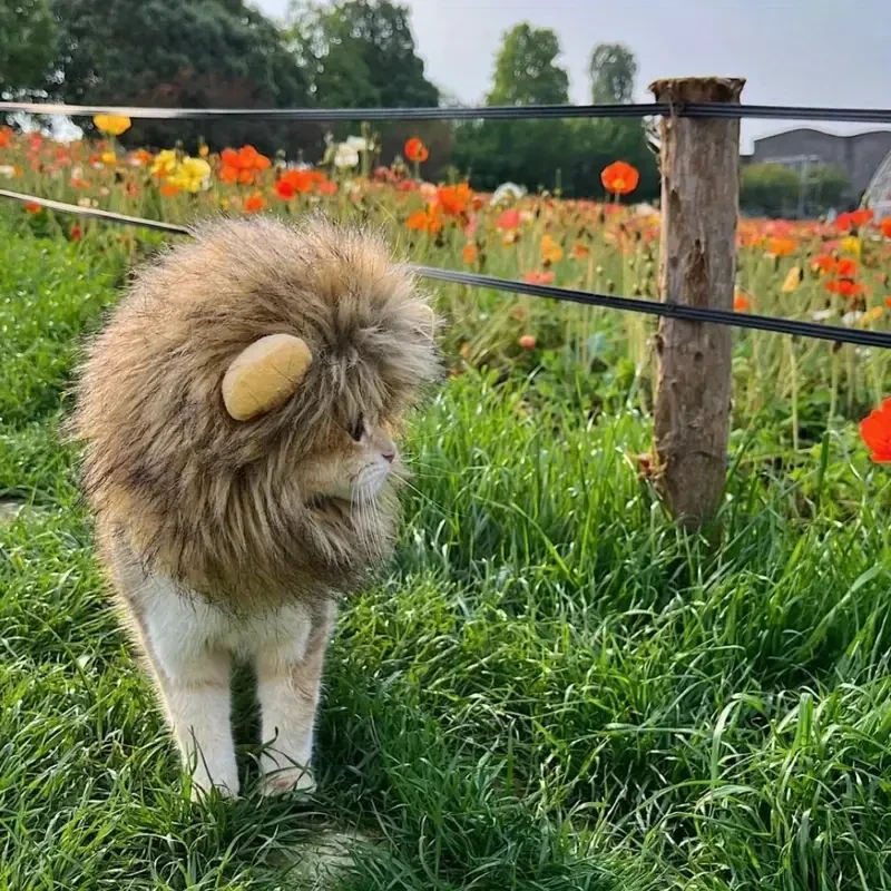 Adorable Lion Mane Costume for Cats  Durable and Comfy