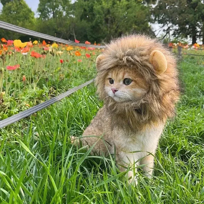 Adorable Lion Mane Costume for Cats  Durable and Comfy
