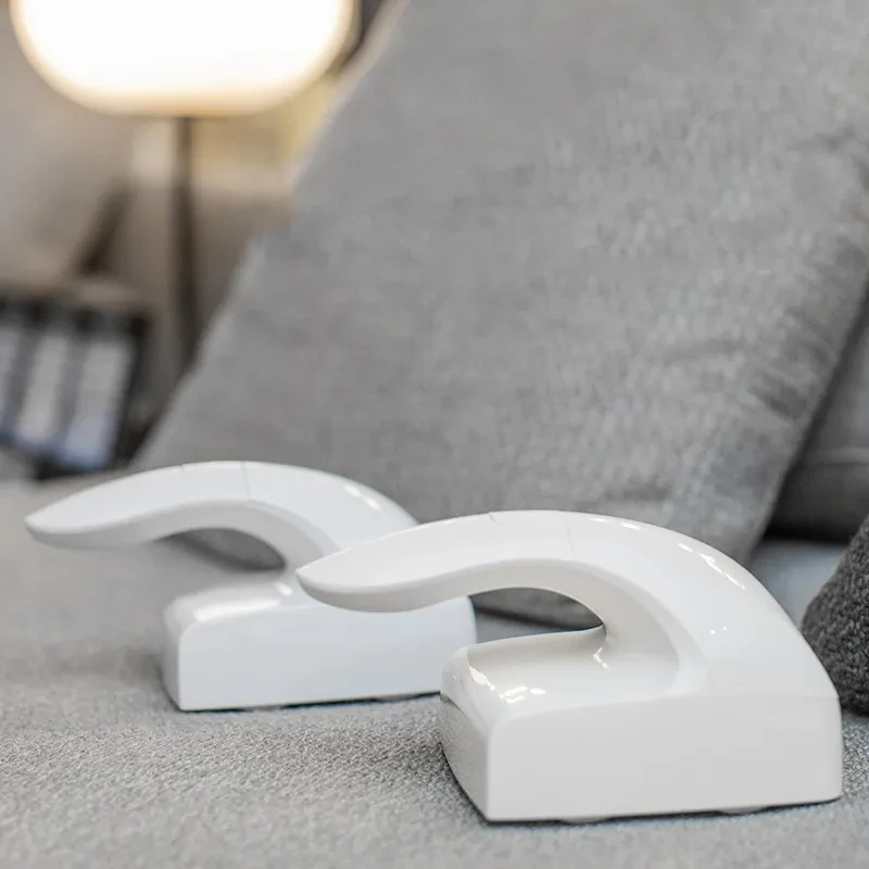 Pet Sticky Hair Remover