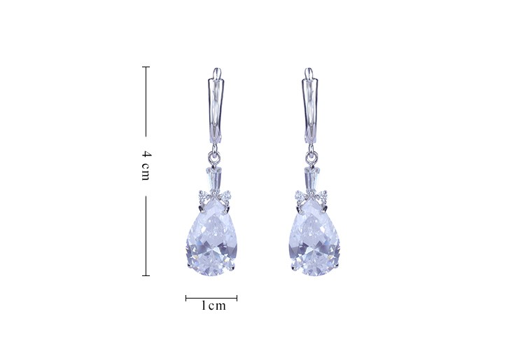 Ladies Fashion Earrings