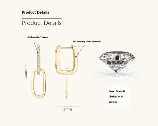 Light Luxury Design Double Ring Moissanite High Sense Niche S925 Silver Tassel Earrings