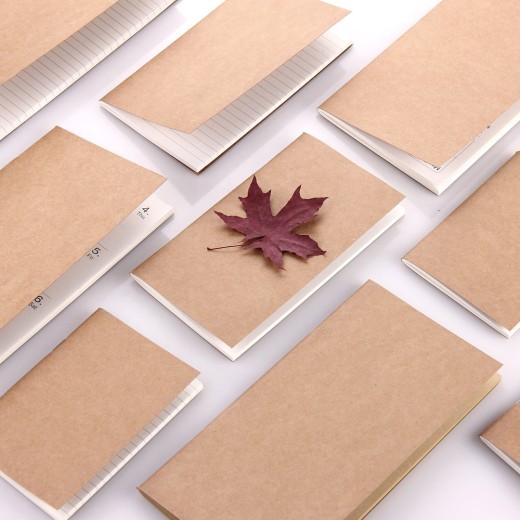 Traveler's diary book core