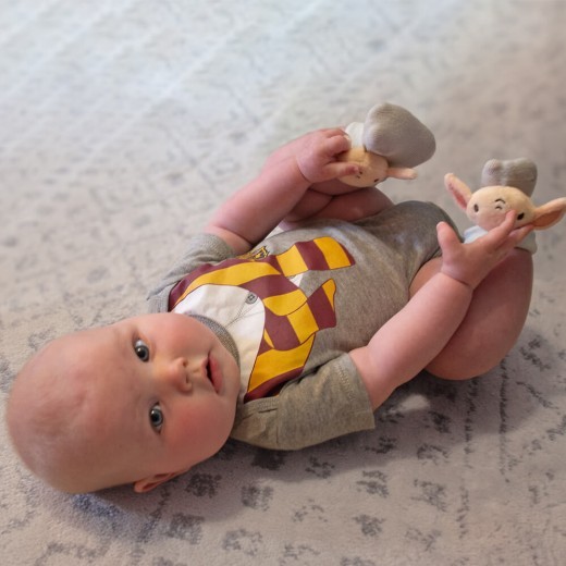 Harry Potter Dobby Foot Rattles
