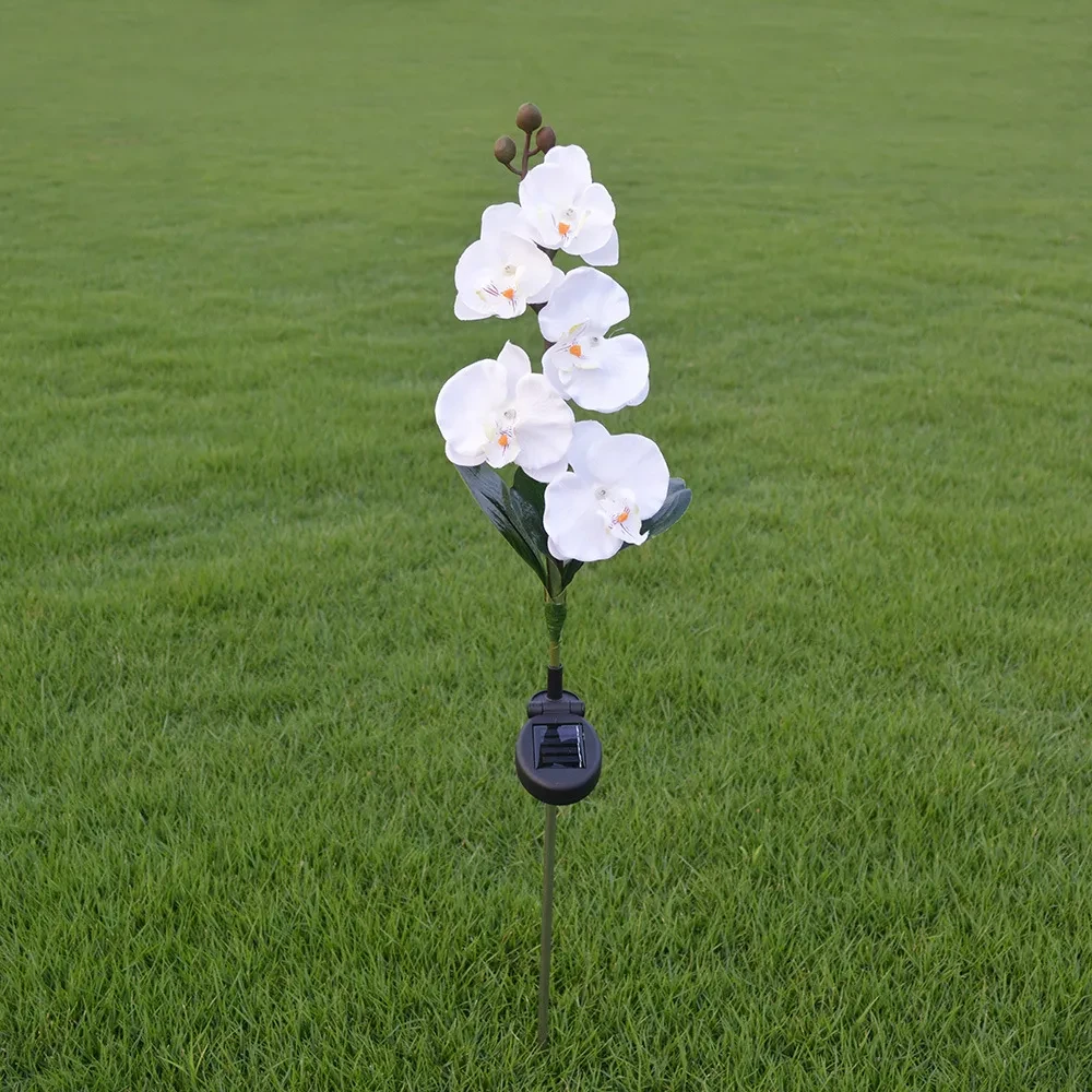 Outdoor 5-head Solar Phalaenopsis LED Flower Light