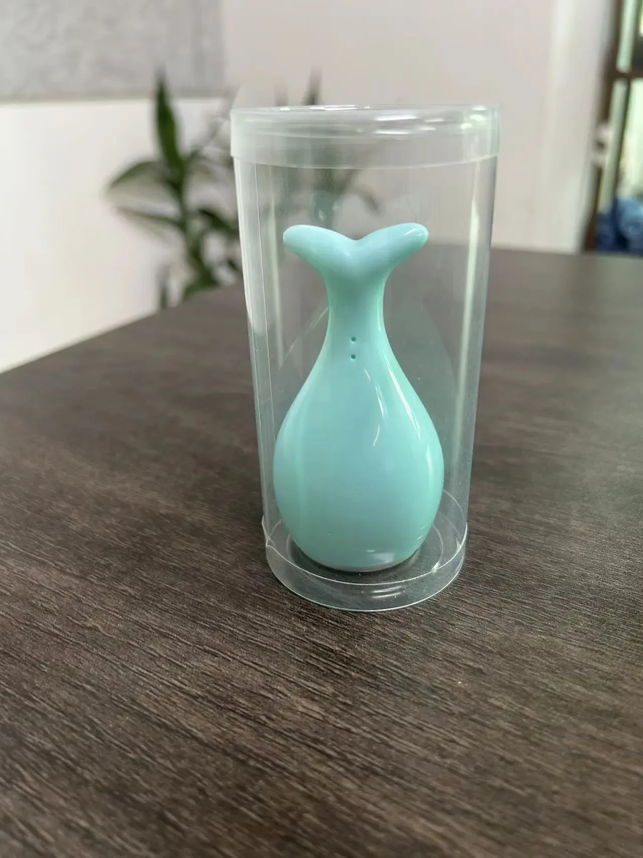 Hot And Cold Inductive Therapeutical Instrument