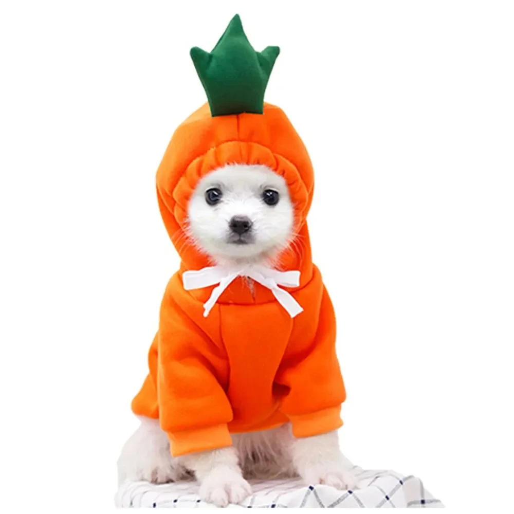 Cute Fruit Dog Clothes For Small Dogs Hoodies Winter