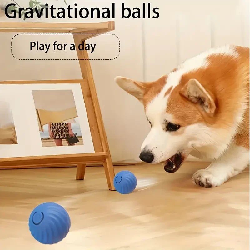 Automatic Rolling Ball Toy - Durable Dog Chew and Pet Grinding Toy