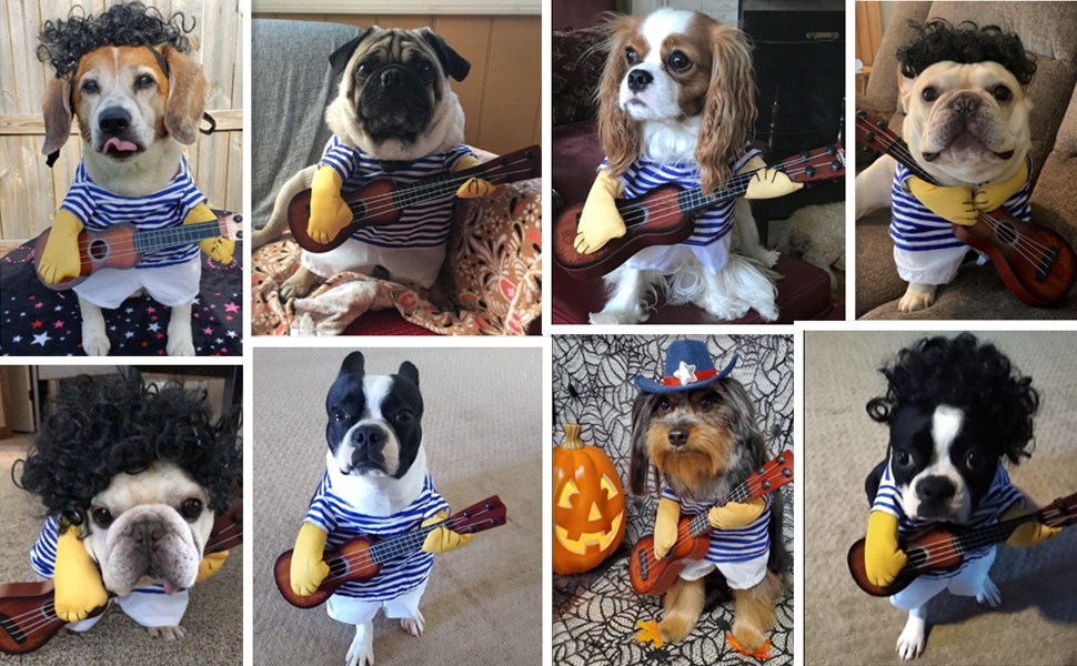 Pet dog guitarist dress