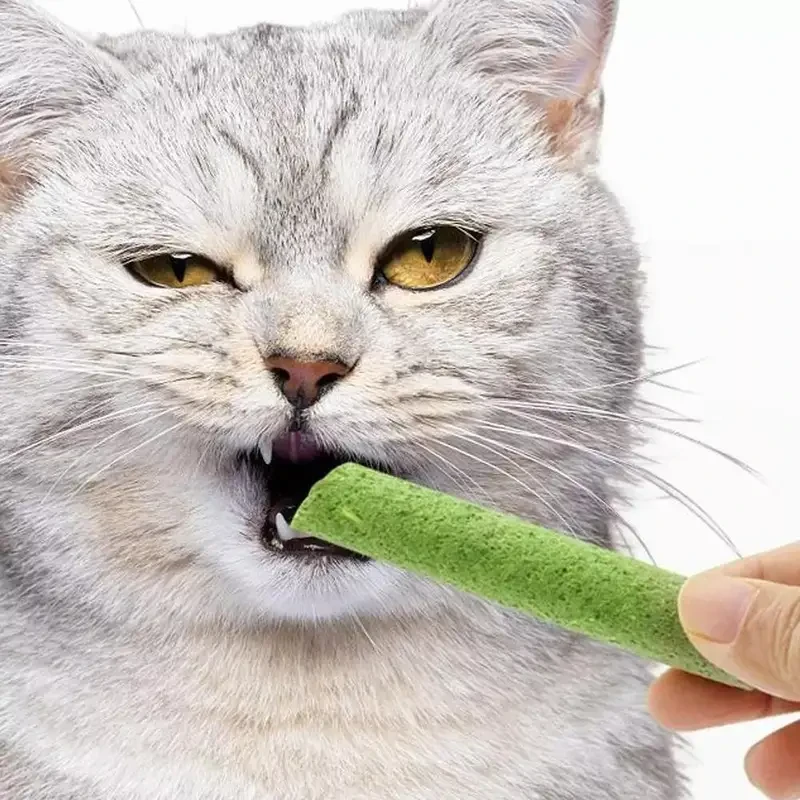 Cat Grass Teething Sticks for Hairball Control - Natural Cat Dental Care Treat with Chicken Flavor
