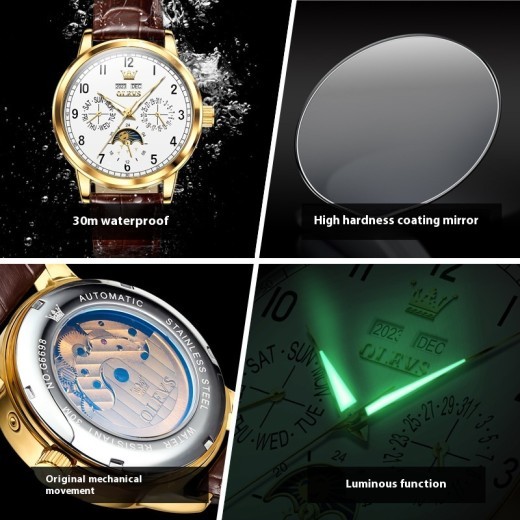 Multi-Functional Mechanical Luminous Men's Watch
