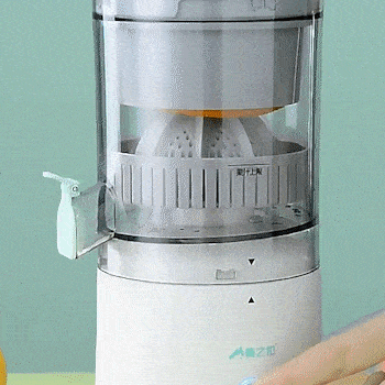 Electric citrus juicer