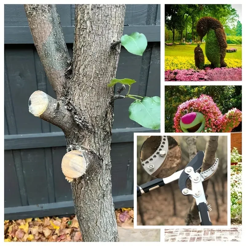 Long-Handled Pruning Shears - Lengthen Tree Shears for Thick Branches, Manual Flower and Tree Pruner