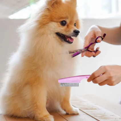 Pet Comb Tear Stain Removal Comb