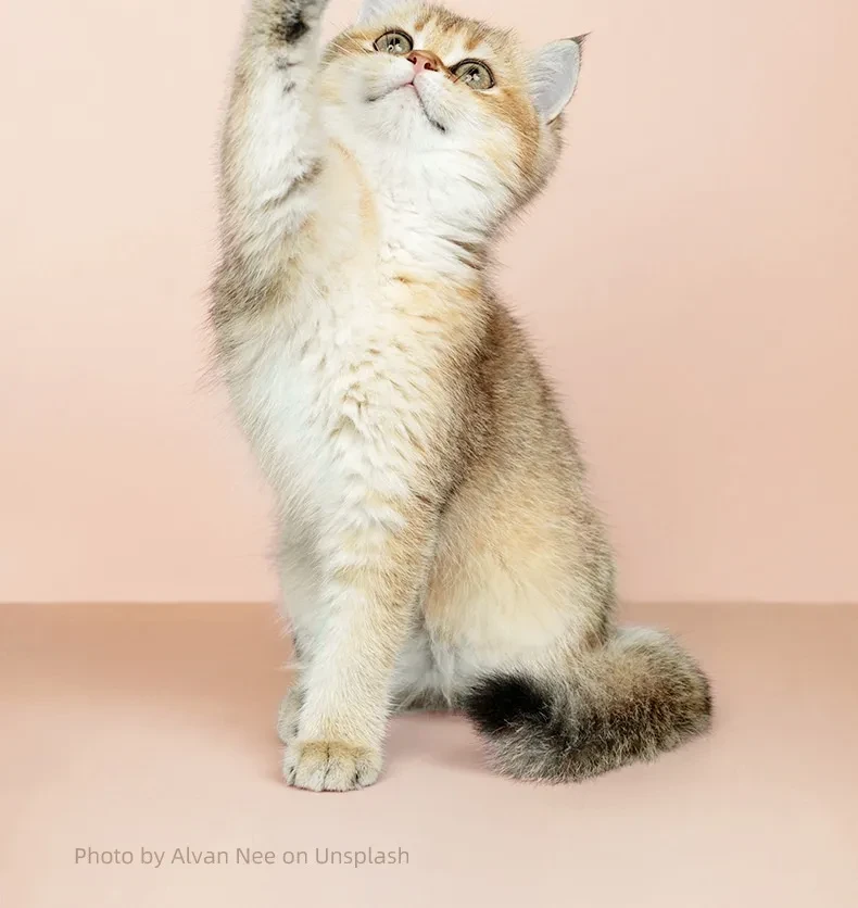 Pets Paw Trimmer With LED Light Waterproof