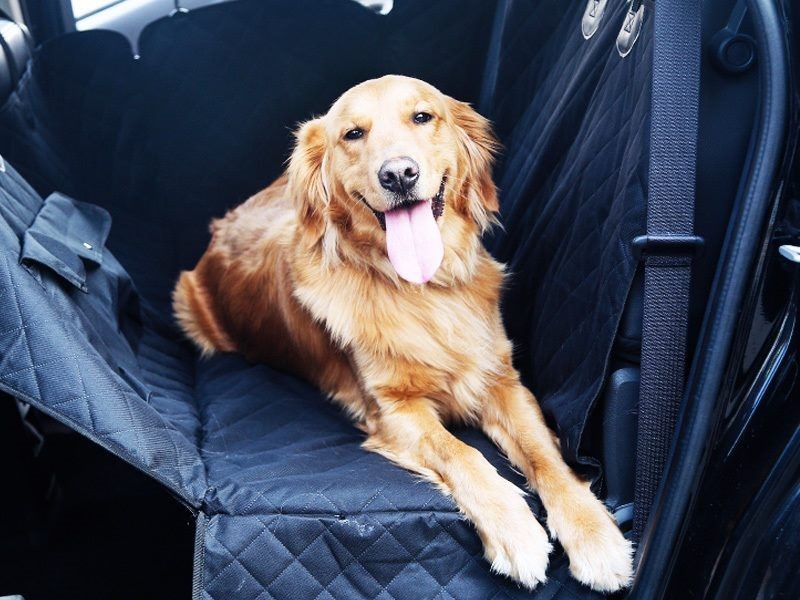 Waterproof Pet Back Car Seat Cover Hammock NonSlip Protector Mat Multifunction