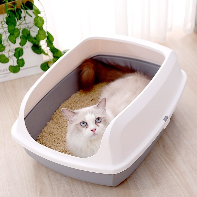 Cat Kitty Litter Tray with Scoop L 564224cm