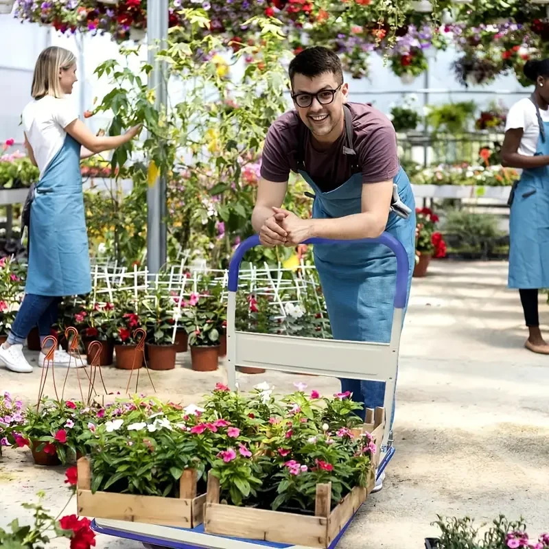 Upgraded Foldable Push Cart Dolly - 330 lbs Capacity