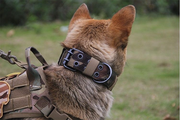 Heavy Duty Dog Collar Wide, Reflective, Tactical, Soft Neoprene Padded XL, L