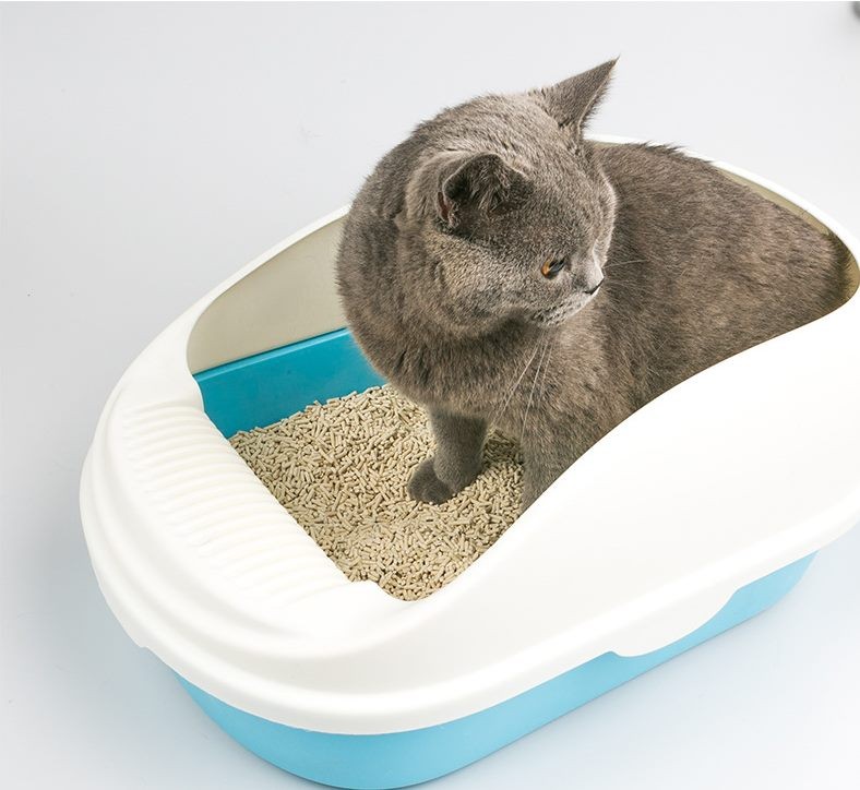 Cat Kitty Litter Tray with Scoop - Blue - L 563926cm