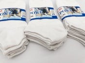 (60 Pairs) Thin Ankle Socks - WHITE - M7-11/ W8-12