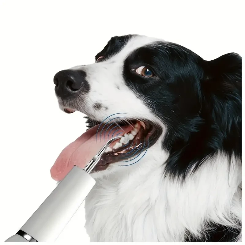 Tartar Remover Kit - Effectively Removes Plaque, Tartar, and Stains, Gently Cleans Teeth for a Healthy Smile, Specifically Designed for Canine Oral Care, Includes Pet Toothbrush Cleaner for Easy Maintenance