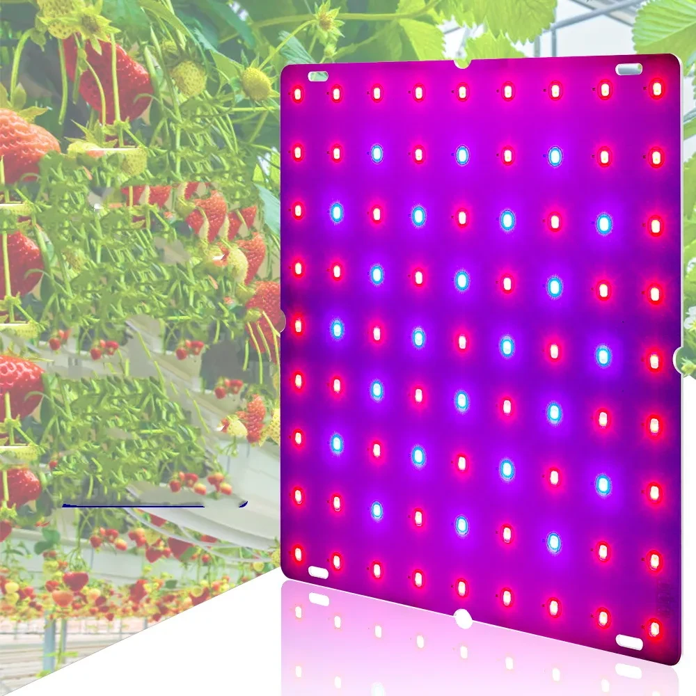 Fruits Vegetables Melons And Fruits Planting Lights Can Be Hooked