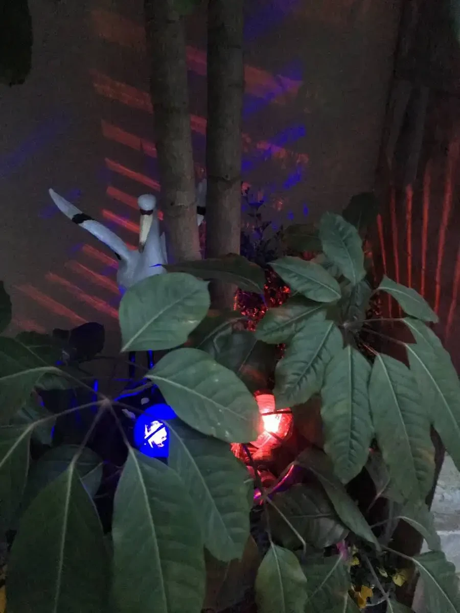 Outdoor Solar Water Float Lamp Pond Floating Lamp