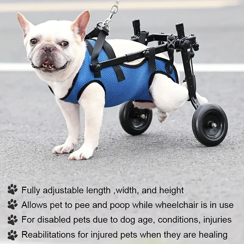 Adjustable Dog Wheelchair for Rehabilitation - Pet Mobility Aid for Disabled, Injured Dogs - Comfortable Walking Assist Cart - Allows for Bathroom Use - Pet Support for Recovery and Health