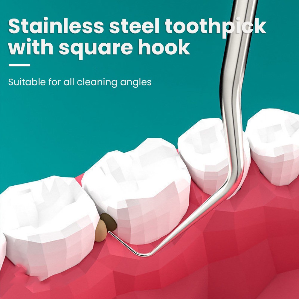 8-Piece Portable Stainless Steel Toothpick Set