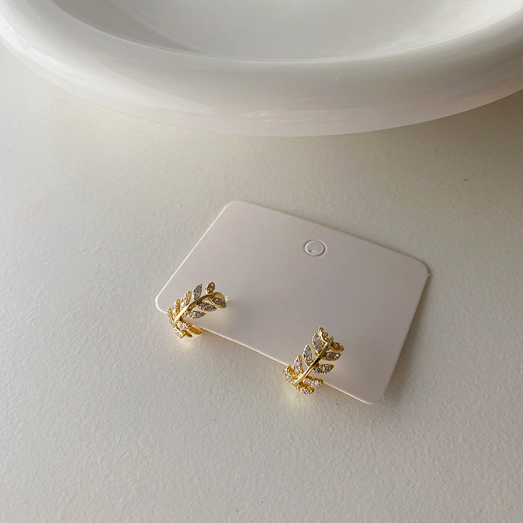 Temperament fashion zircon leaves earrings earrings earrings cool wind