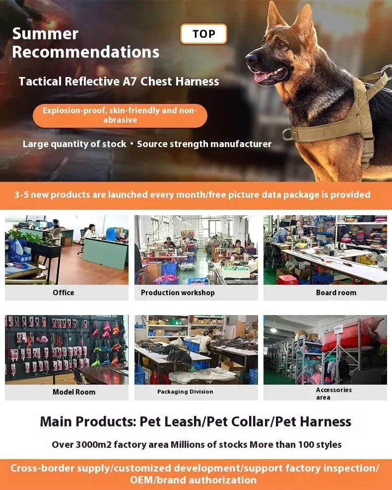 Pet Hand Holding Rope Buffer Retractable