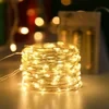Firefly Bunch Lights(3M/120 INCHES)