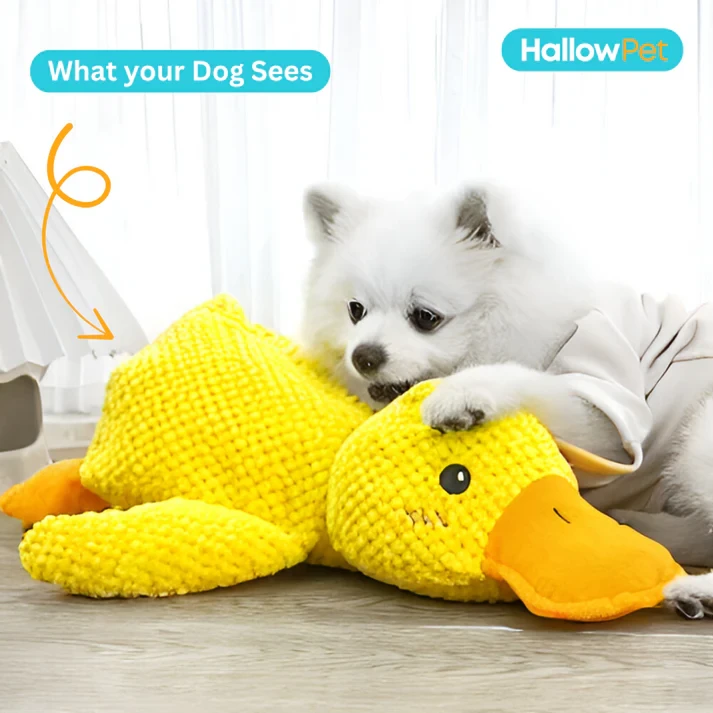 HallowPet Calming Duck Toy