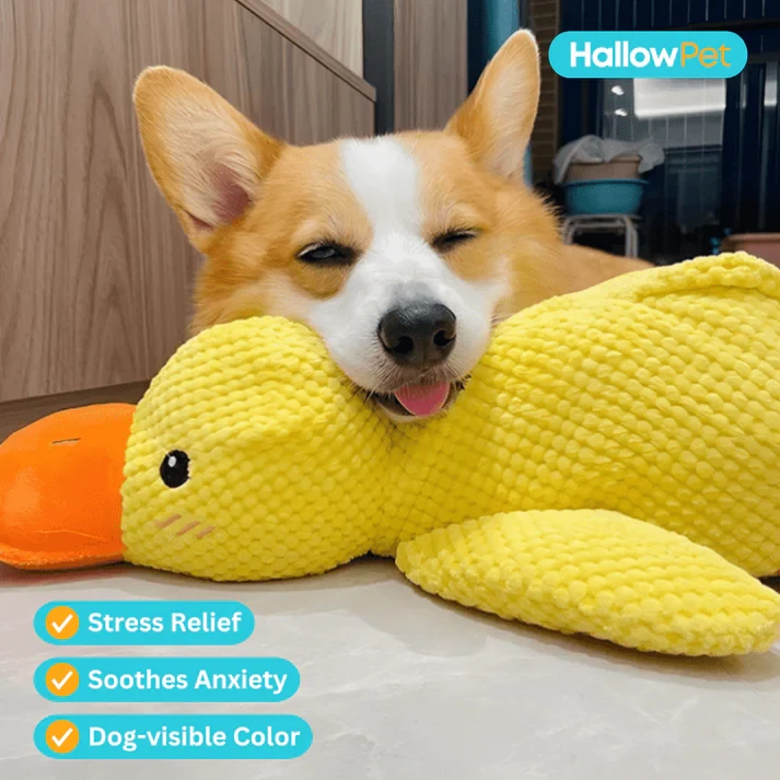 HallowPet Calming Duck Toy